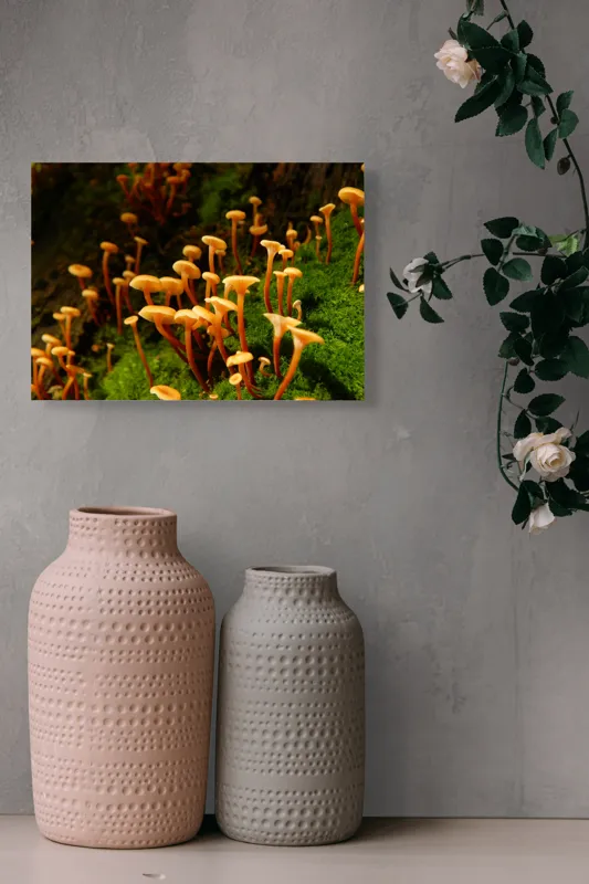 Tablou Canvas, "Ciuperci aurii în pădure verde", Fungi, Pădure, Mușchi, Natură, Ciuperci, Plante, Înverzire, Ecosistem, Habitat, 54 x 39 cm – poza 8