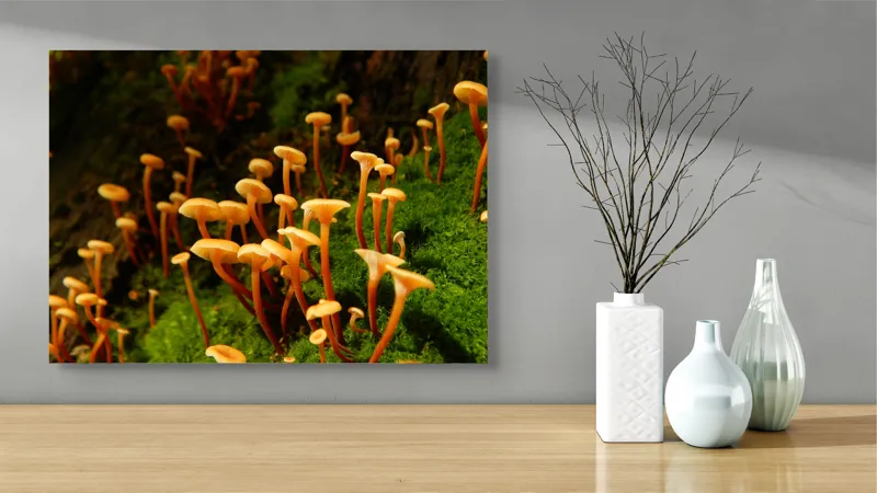 Tablou Canvas, "Ciuperci aurii în pădure verde", Fungi, Pădure, Mușchi, Natură, Ciuperci, Plante, Înverzire, Ecosistem, Habitat, 70 x 50 cm – poza 3