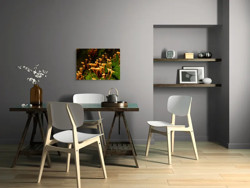 Tablou Canvas, "Ciuperci aurii în pădure verde", Fungi, Pădure, Mușchi, Natură, Ciuperci, Plante, Înverzire, Ecosistem, Habitat, 70 x 50 cm – poza 5