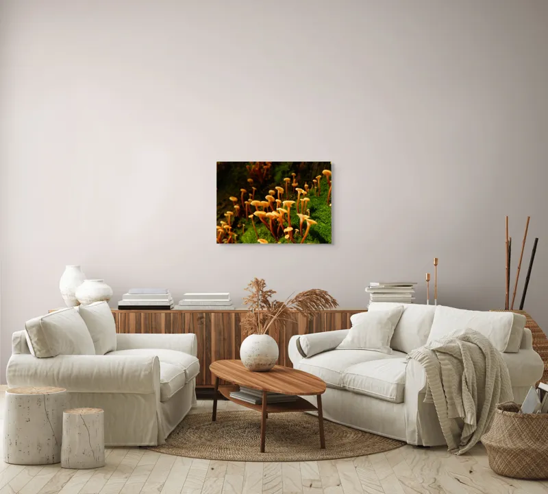 Tablou Canvas, "Ciuperci aurii în pădure verde", Fungi, Pădure, Mușchi, Natură, Ciuperci, Plante, Înverzire, Ecosistem, Habitat, 70 x 50 cm – poza 6