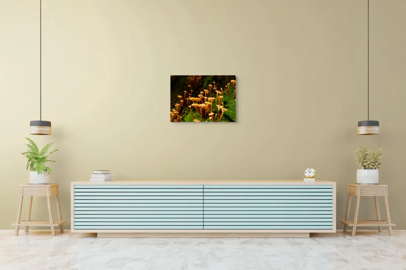 Tablou Canvas, "Ciuperci aurii în pădure verde", Fungi, Pădure, Mușchi, Natură, Ciuperci, Plante, Înverzire, Ecosistem, Habitat, 70 x 50 cm – poza 7
