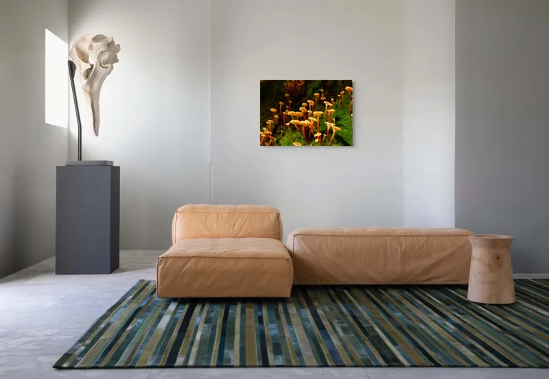 Tablou Canvas, "Ciuperci aurii în pădure verde", Fungi, Pădure, Mușchi, Natură, Ciuperci, Plante, Înverzire, Ecosistem, Habitat, 70 x 50 cm – poza 8