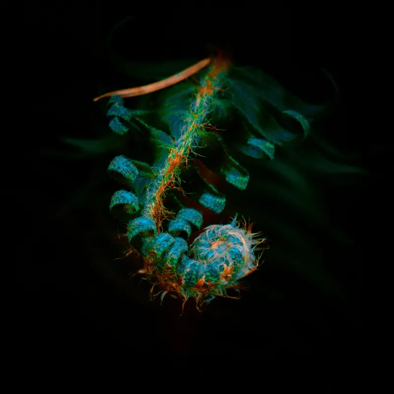 Tablou Canvas, "Îmbrățișarea secretă a frunzei verzi", Frunza, Spiralată, Verde, Misterioasă, Elegantă, Fragedă, Întunecată, Textură., 100 x 100 cm – poza 2