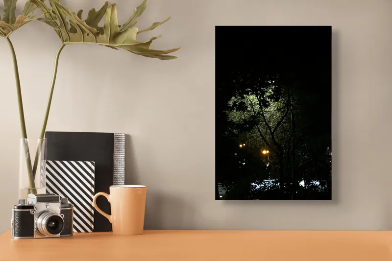 Tablou Canvas, "Lumina misterios ascunsă printre crengi", Întuneric, Lumină, Copaci, Noapte, Mister, Umbre, Iluminare, Natura, Calm, Strălucire, 26 x 39 cm – poza 3