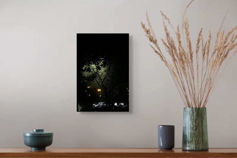 Tablou Canvas, "Lumina misterios ascunsă printre crengi", Întuneric, Lumină, Copaci, Noapte, Mister, Umbre, Iluminare, Natura, Calm, Strălucire, 26 x 39 cm – poza 5