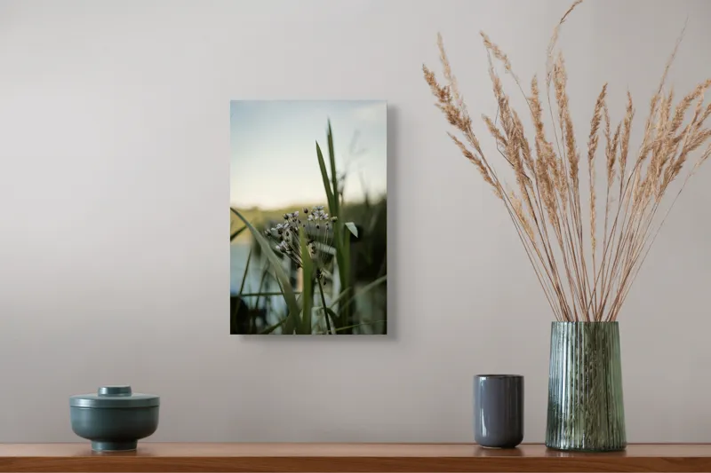 Tablou Canvas, "Flori delicate lângă apă liniștită", Flori, Iarbă, Apă, Cer, Peisaj, Natură, Verde, Lumină, Delicat, Blând., 26 x 39 cm – poza 5