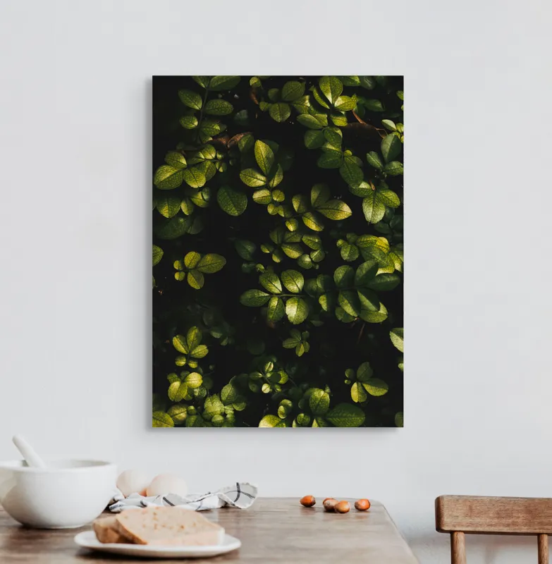 Tablou Canvas, "Frunze verzi în lumina dimineții", Frunze, Verde, Textură, Umbre, Luminozitate, Natură, Vegetație, 50 x 70 cm – poza 3