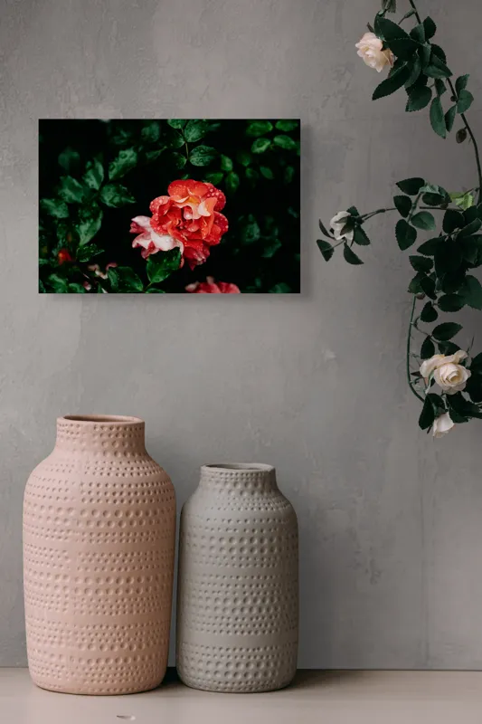 Tablou Canvas, "Flori de trandafir în ploaie liniștită", Roșu, Petale, Frunze, Rouă, Natură, Flori, Grădină, Prospețime, 39 x 26 cm – poza 4