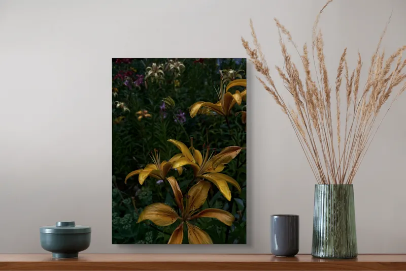 Tablou Canvas, "Crini aurii sub cerul înserării", Flori, Galbene, Petale, Gradina, Lujeri, Intunecat, Detalii, Colorat, Varietate, Verde, Contrast, Inflorire, Naturalete., 39 x 54 cm – poza 3