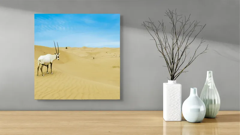 Tablou Canvas, "Oryx singur în deșertul nesfârșit", Antilopă, Deșert, Dune, Cer, Solitudine, Calm, Natură, Zare, Puritate, Armonie, 50 x 50 cm – poza 3