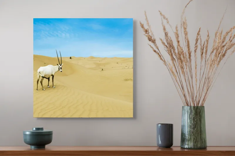 Tablou Canvas, "Oryx singur în deșertul nesfârșit", Antilopă, Deșert, Dune, Cer, Solitudine, Calm, Natură, Zare, Puritate, Armonie, 50 x 50 cm – poza 4