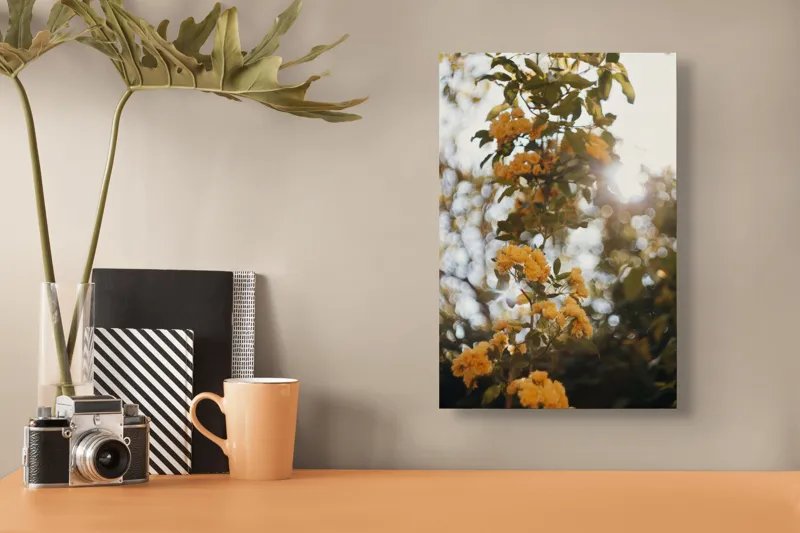 Tablou Canvas, "Razele soarelui printre flori galbene", Flori, Galbene, Soare, Frunze, Reflexii, Lumina, Natură, Blândă, 26 x 39 cm – poza 3