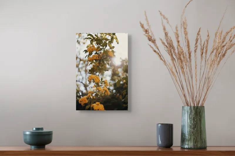 Tablou Canvas, "Razele soarelui printre flori galbene", Flori, Galbene, Soare, Frunze, Reflexii, Lumina, Natură, Blândă, 26 x 39 cm – poza 5