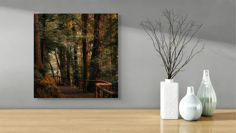 Tablou Canvas, "Poteca liniștită printre arborii înalți", Copaci, Alee, Frunze, Răcoare, Natură, Umbră, Traseu, Mister, Liniște, Aventură, 50 x 50 cm – poza 3