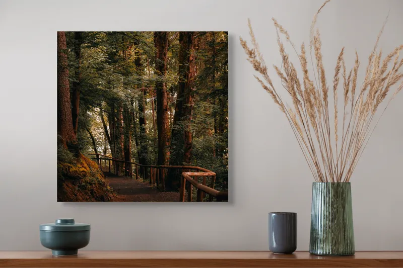 Tablou Canvas, "Poteca liniștită printre arborii înalți", Copaci, Alee, Frunze, Răcoare, Natură, Umbră, Traseu, Mister, Liniște, Aventură, 50 x 50 cm – poza 4