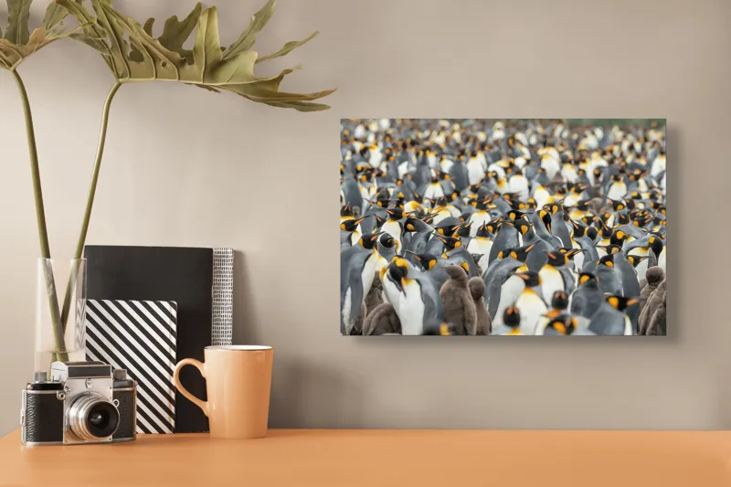 Tablou Canvas, "Împărăția pinguinilor eleganți în mulțime", Penguins, Colony, King, Birds, Nature, Antarctica, Wildlife, Gathering, Sea, Cold, 39 x 26 cm – poza 3