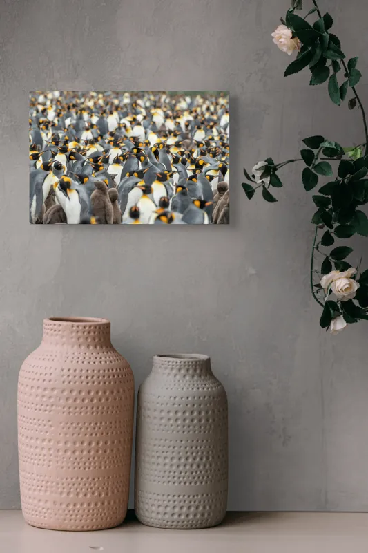 Tablou Canvas, "Împărăția pinguinilor eleganți în mulțime", Penguins, Colony, King, Birds, Nature, Antarctica, Wildlife, Gathering, Sea, Cold, 39 x 26 cm – poza 4