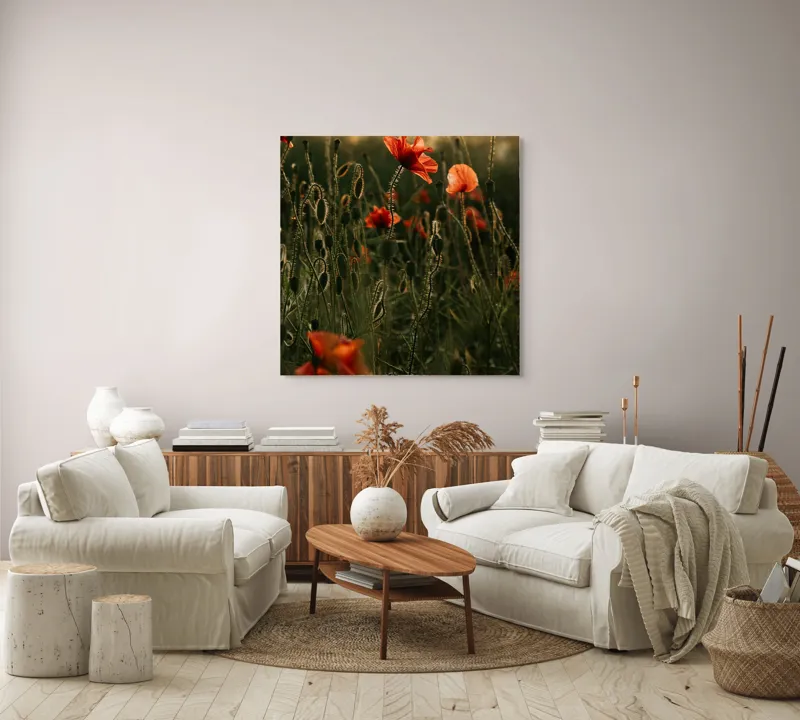 Tablou Canvas, "Răsărit peste câmpul de maci", Maci, Apus, Frumusețe, Natură, Lumină, Verdeață, Delicatețe, Culoare, 100 x 100 cm – poza 3