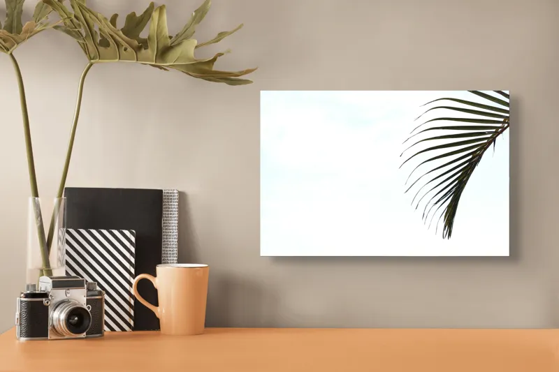 Tablou Canvas, "Frunza de palmier în briza verii", Frunze, Palmier, Cer, Alb, Simplitate, Minimalism, Verde, Natură, 39 x 26 cm – poza 3
