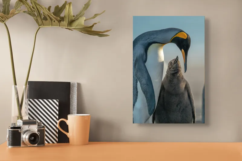 Tablou Canvas, "Îmbrățișare călduroasă în ghețurile antarctice", Pinguin, Îngrijire, Empatie, Natură, Protector, Blândețe, Frumusețe, Armonie, Familie, Tandrețe, Îmbucurător, Conexiune, 26 x 39 cm – poza 3
