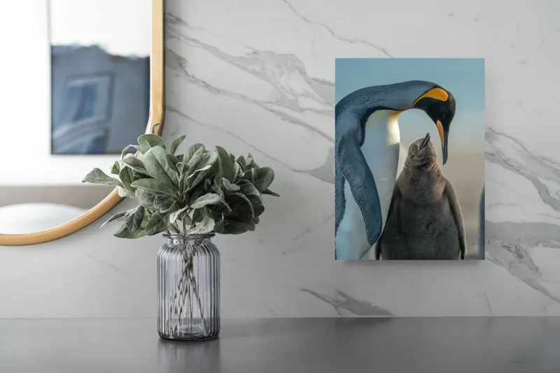 Tablou Canvas, "Îmbrățișare călduroasă în ghețurile antarctice", Pinguin, Îngrijire, Empatie, Natură, Protector, Blândețe, Frumusețe, Armonie, Familie, Tandrețe, Îmbucurător, Conexiune, 26 x 39 cm – poza 4