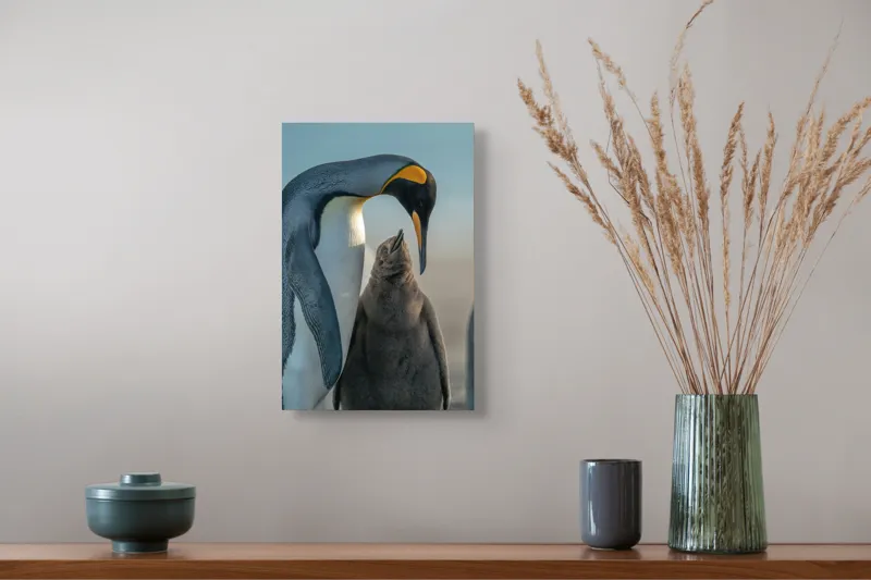Tablou Canvas, "Îmbrățișare călduroasă în ghețurile antarctice", Pinguin, Îngrijire, Empatie, Natură, Protector, Blândețe, Frumusețe, Armonie, Familie, Tandrețe, Îmbucurător, Conexiune, 26 x 39 cm – poza 5