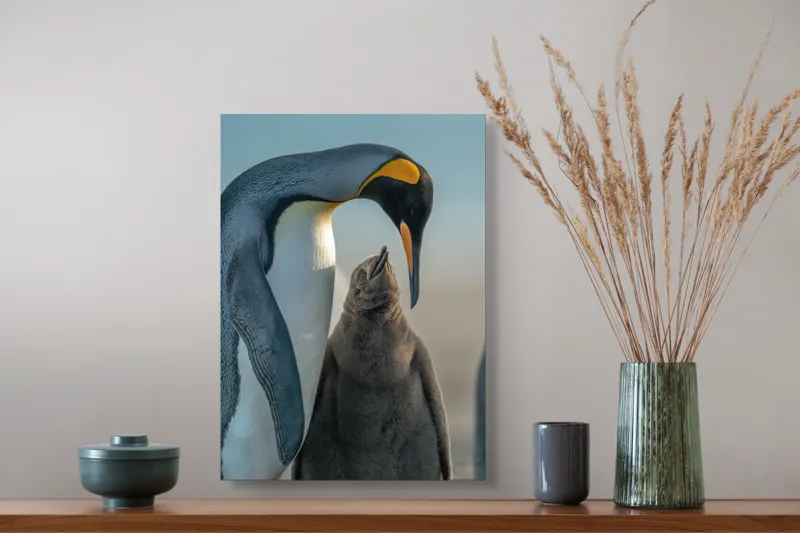 Tablou Canvas, "Îmbrățișare călduroasă în ghețurile antarctice", Pinguin, Îngrijire, Empatie, Natură, Protector, Blândețe, Frumusețe, Armonie, Familie, Tandrețe, Îmbucurător, Conexiune, 39 x 54 cm – poza 3