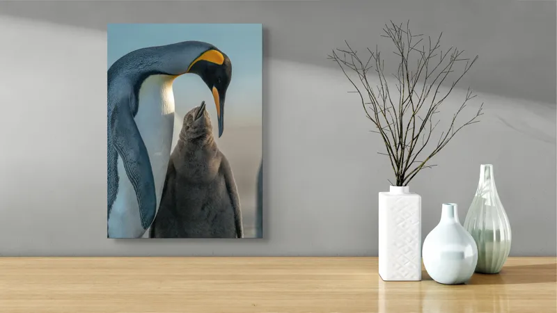 Tablou Canvas, "Îmbrățișare călduroasă în ghețurile antarctice", Pinguin, Îngrijire, Empatie, Natură, Protector, Blândețe, Frumusețe, Armonie, Familie, Tandrețe, Îmbucurător, Conexiune, 39 x 54 cm – poza 4