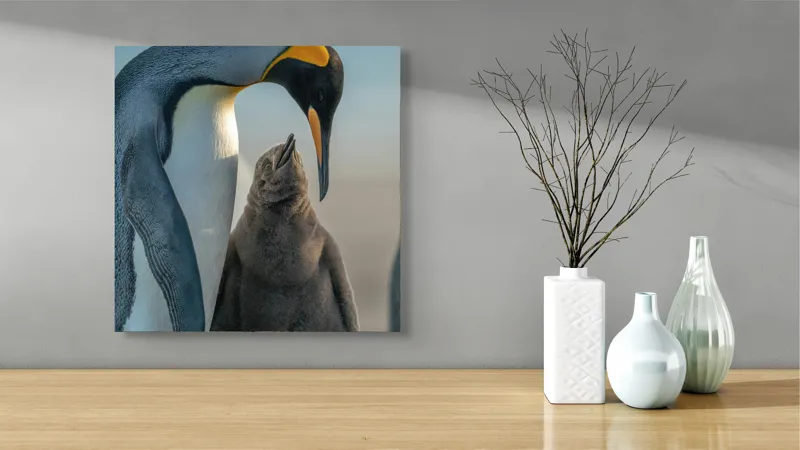 Tablou Canvas, "Îmbrățișare călduroasă în ghețurile antarctice", Pinguin, Îngrijire, Empatie, Natură, Protector, Blândețe, Frumusețe, Armonie, Familie, Tandrețe, Îmbucurător, Conexiune, 50 x 50 cm – poza 3