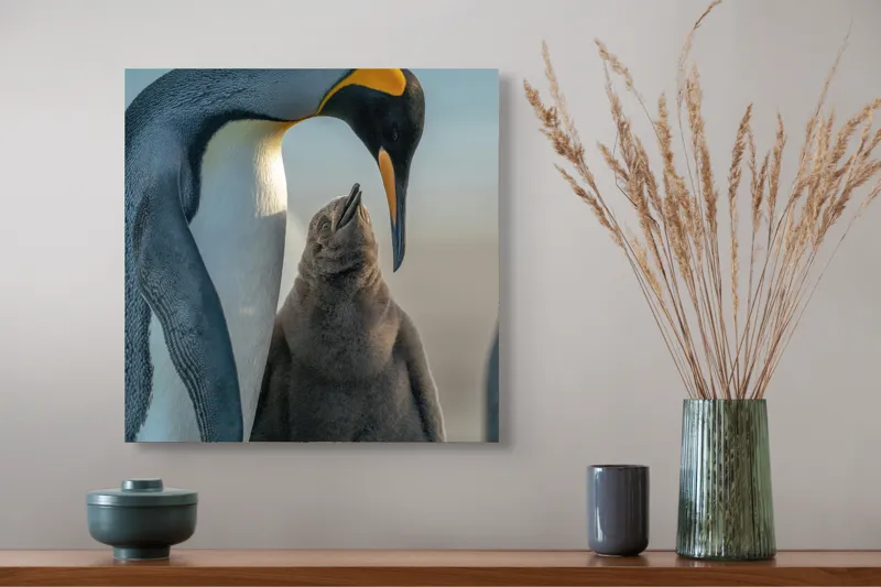 Tablou Canvas, "Îmbrățișare călduroasă în ghețurile antarctice", Pinguin, Îngrijire, Empatie, Natură, Protector, Blândețe, Frumusețe, Armonie, Familie, Tandrețe, Îmbucurător, Conexiune, 50 x 50 cm – poza 4