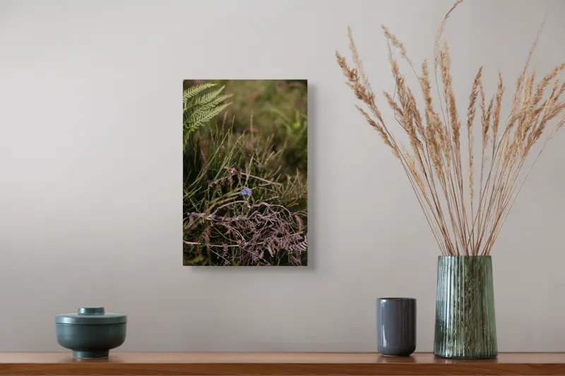 Tablou Canvas, "Fluture albastru în sălbăticie verde", Fluture, Ferigă, Verdeață, Natură, Delicatețe, Fragilitate, Contrast, Vegetație, Frumusețe, Sălbăticie, 26 x 39 cm – poza 5