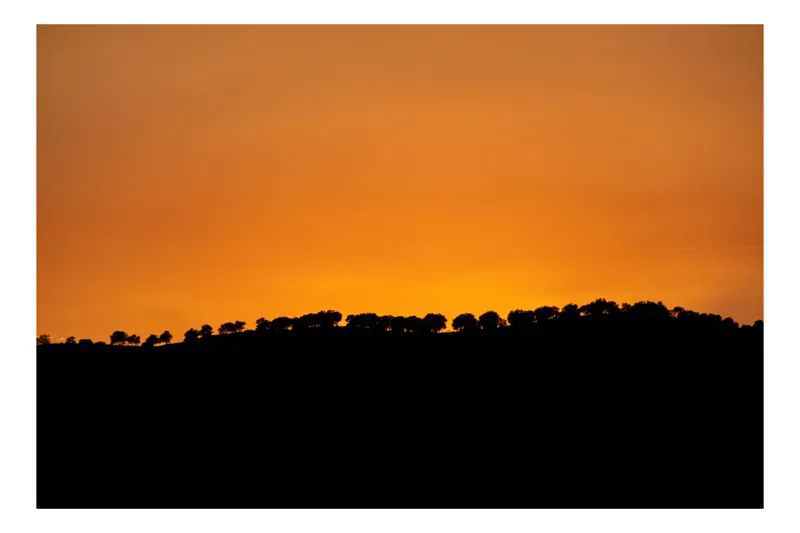 Tablou Canvas, "Silhouetă de arbori la apus", Apus, Cer, Siluetă, Arbori, Coline, Întunecat, Orizont, Cald, Strălucitor, Lumină, 90 x 50 cm