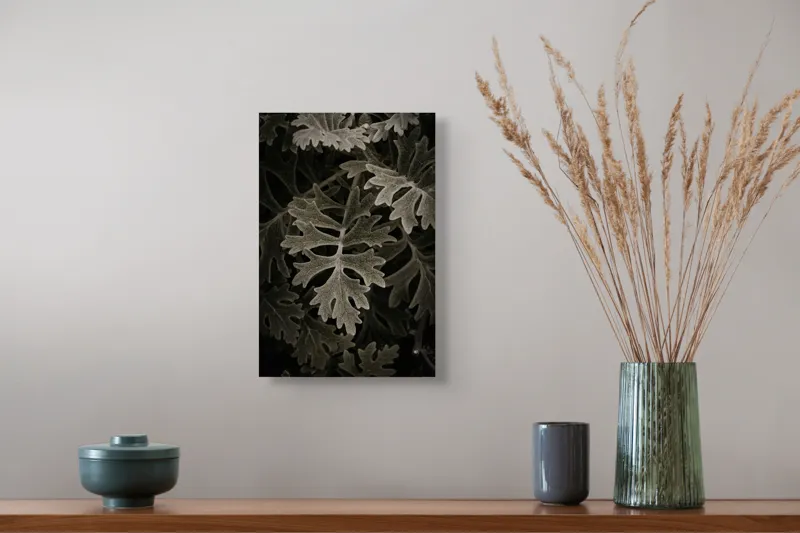 Tablou Canvas, "Frunze de stejar în umbră misterioasă", Frunze, Detaliu, Textură, Contrast, Verde Închis, Forme, Natură, Lumină, Umbră, 26 x 39 cm – poza 5