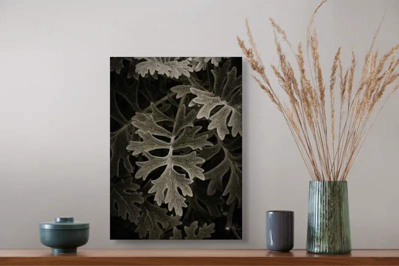 Tablou Canvas, "Frunze de stejar în umbră misterioasă", Frunze, Detaliu, Textură, Contrast, Verde Închis, Forme, Natură, Lumină, Umbră, 39 x 54 cm – poza 3