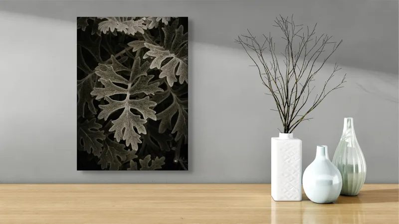 Tablou Canvas, "Frunze de stejar în umbră misterioasă", Frunze, Detaliu, Textură, Contrast, Verde Închis, Forme, Natură, Lumină, Umbră, 39 x 54 cm – poza 4