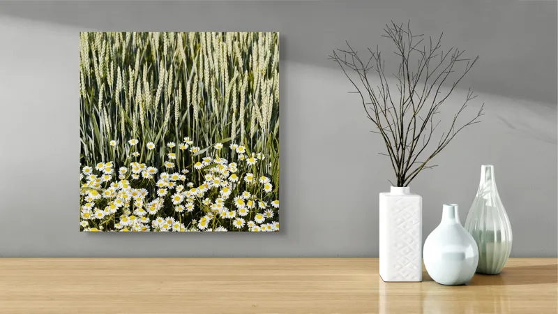 Tablou Canvas Peisaj Vară Flori Grâu Natură Frumusețe, 50 x 50 cm – poza 3