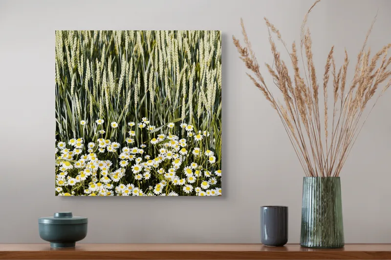 Tablou Canvas Peisaj Vară Flori Grâu Natură Frumusețe, 50 x 50 cm – poza 4
