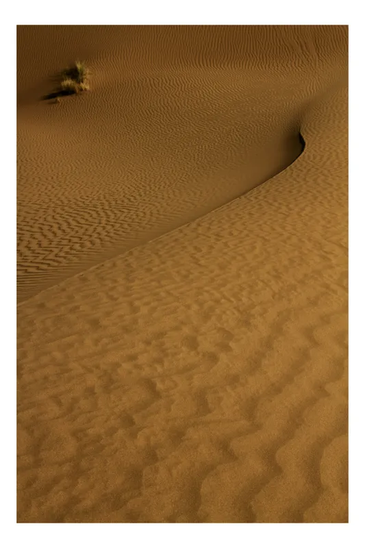 Tablou Canvas, "Ondele de nisip în deșertul vast", Deșert, Nisip, Dune, Valuri, Solitudine, Ariditate, Natură, Linie, Peisaj, Serenitate, 50 x 90 cm