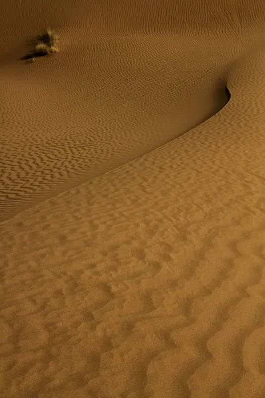 Tablou Canvas, "Ondele de nisip în deșertul vast", Deșert, Nisip, Dune, Valuri, Solitudine, Ariditate, Natură, Linie, Peisaj, Serenitate, 100 x 150 cm – poza 2