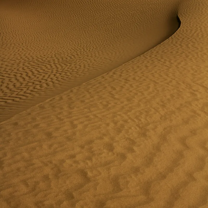 Tablou Canvas, "Ondele de nisip în deșertul vast", Deșert, Nisip, Dune, Valuri, Solitudine, Ariditate, Natură, Linie, Peisaj, Serenitate, 50 x 50 cm – poza 2
