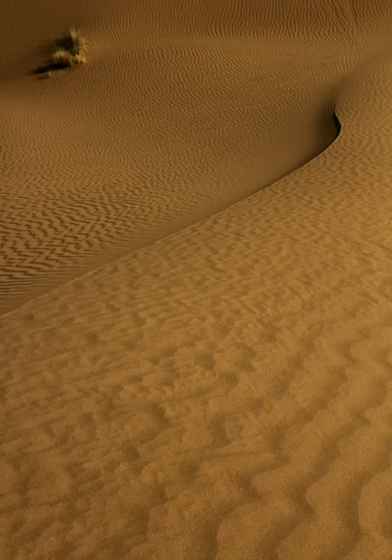 Tablou Canvas, "Ondele de nisip în deșertul vast", Deșert, Nisip, Dune, Valuri, Solitudine, Ariditate, Natură, Linie, Peisaj, Serenitate, 70 x 100 cm – poza 2