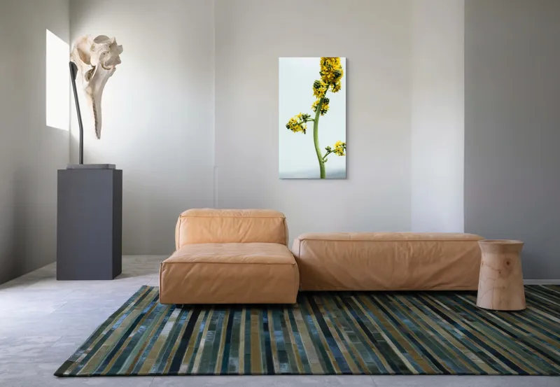 Tablou Canvas, "Albina și floarea galbenă înaltă", Plantă, Flori, Galben, Albine, Natură, Tulpină, Cer, Verde, Viață, Delicat., 50 x 90 cm – poza 5