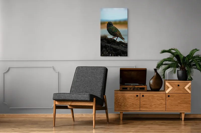 Tablou Canvas, "Sticletele în lumina dimineții", Pasăre, Culori, Penaj, Natură, Bokeh, Lumină, Detalii, Frumusețe, Serenitate, Vedere, Contrast, Peisaj., 50 x 90 cm – poza 8