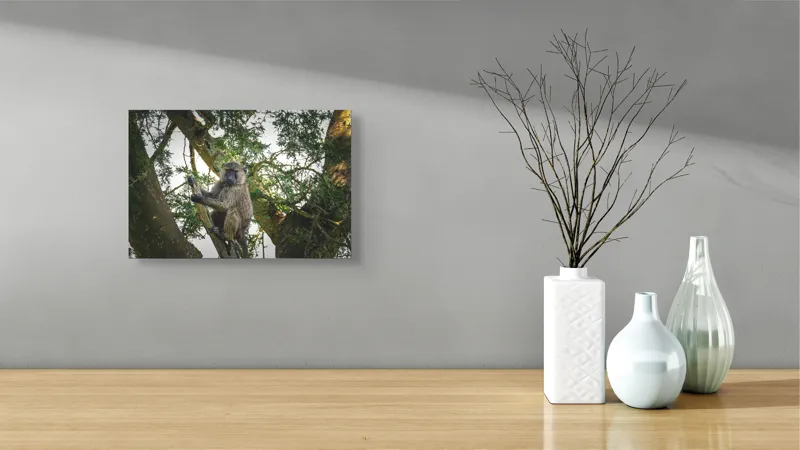 Tablou Canvas, "Babuin în așteptarea aventurii pădurii", Baboon, Branch, Tree, Nature, Green, Relaxed, Wildlife, Foliage, 39 x 26 cm – poza 8
