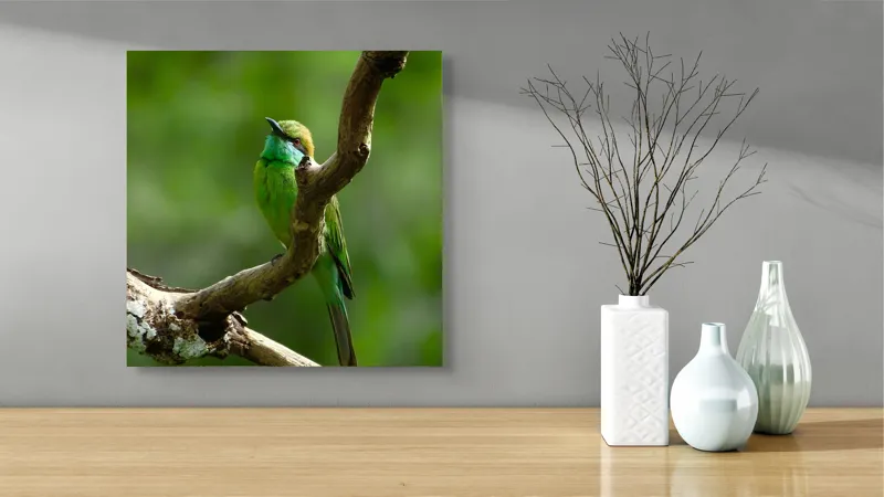 Tablou Canvas, "Pasărea smaraldului contemplativ pe ramură", Verde, Frumusețe, Delicatețe, Natură, Păsăre, Ramură, Serenitate, Grație, 50 x 50 cm – poza 3