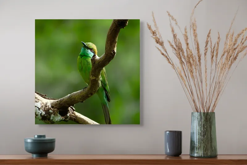 Tablou Canvas, "Pasărea smaraldului contemplativ pe ramură", Verde, Frumusețe, Delicatețe, Natură, Păsăre, Ramură, Serenitate, Grație, 50 x 50 cm – poza 4