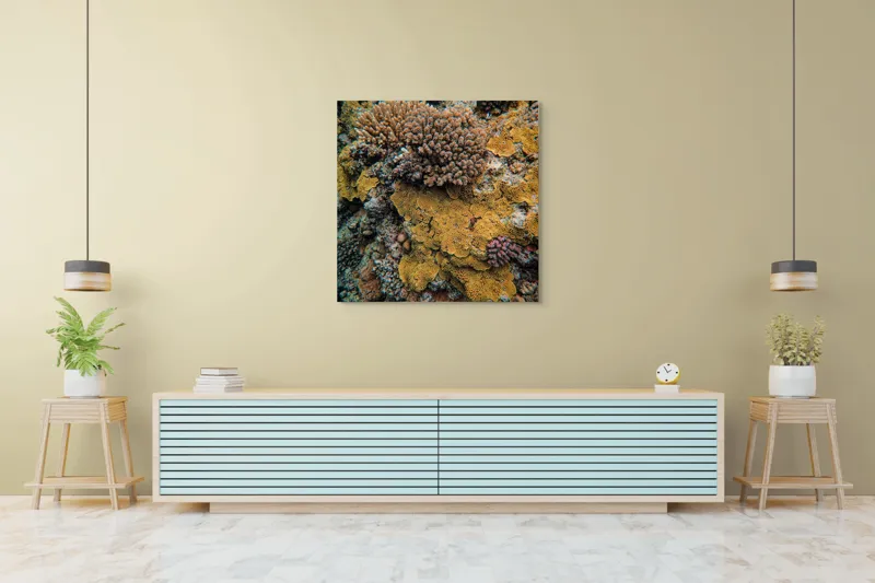 Tablou Canvas, "Bazar de corali subacvatici colorat", Colorat, Texturat, Marin, Corali, Biodiversitate, Oceanic, Vibrant, Natural, Vie, Ecosistem., 100 x 100 cm – poza 5
