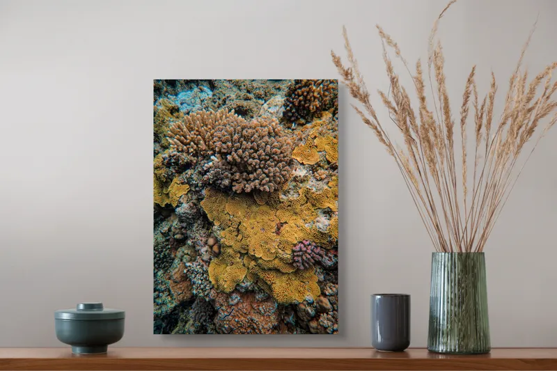 Tablou Canvas, "Bazar de corali subacvatici colorat", Colorat, Texturat, Marin, Corali, Biodiversitate, Oceanic, Vibrant, Natural, Vie, Ecosistem., 39 x 54 cm – poza 3