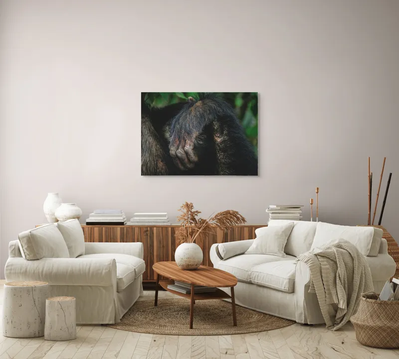 Tablou Canvas, "Mâna odihnită în liniștea junglei", Simian, Păr, Mână, Detaliu, Natură, Textură, Blană, Primate, Verdeață, Natural., 100 x 70 cm – poza 3