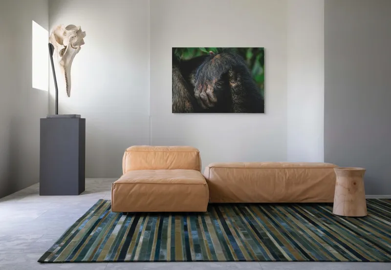 Tablou Canvas, "Mâna odihnită în liniștea junglei", Simian, Păr, Mână, Detaliu, Natură, Textură, Blană, Primate, Verdeață, Natural., 100 x 70 cm – poza 7